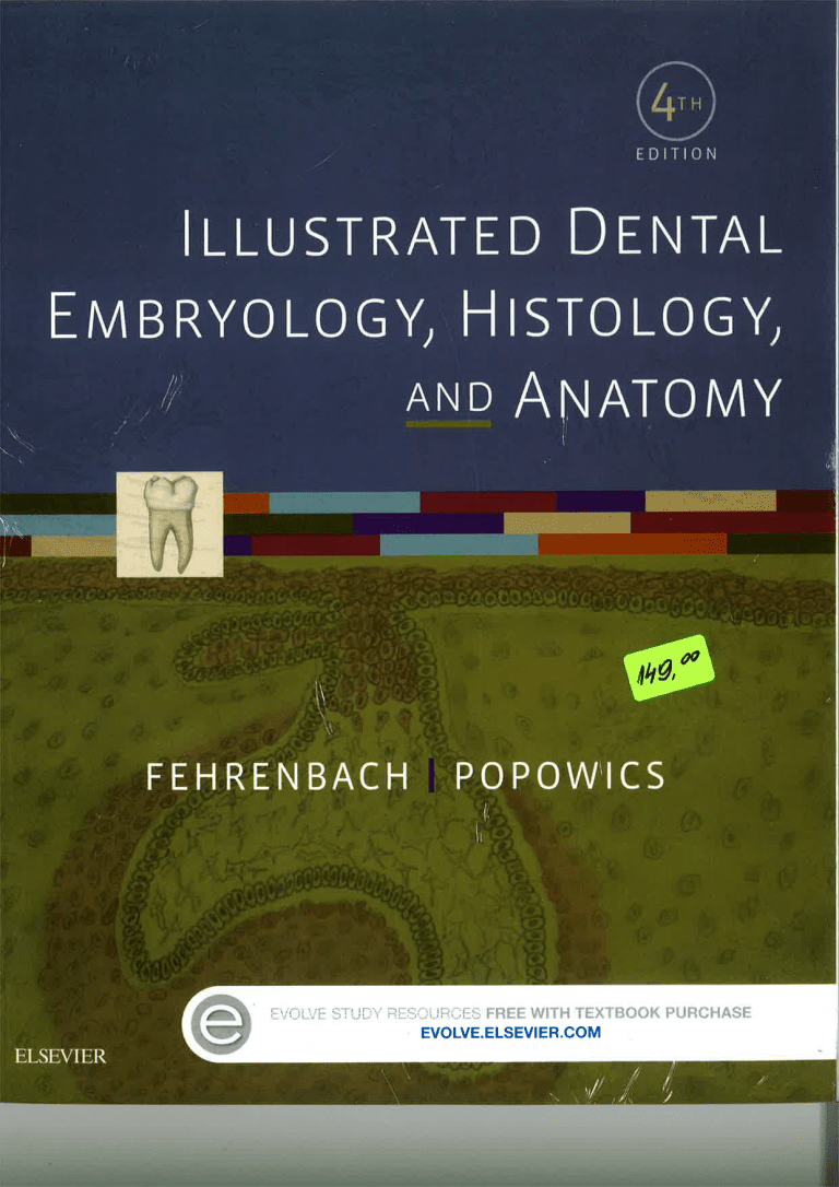 Illustrated Dental Embryology Histology And Anatomy