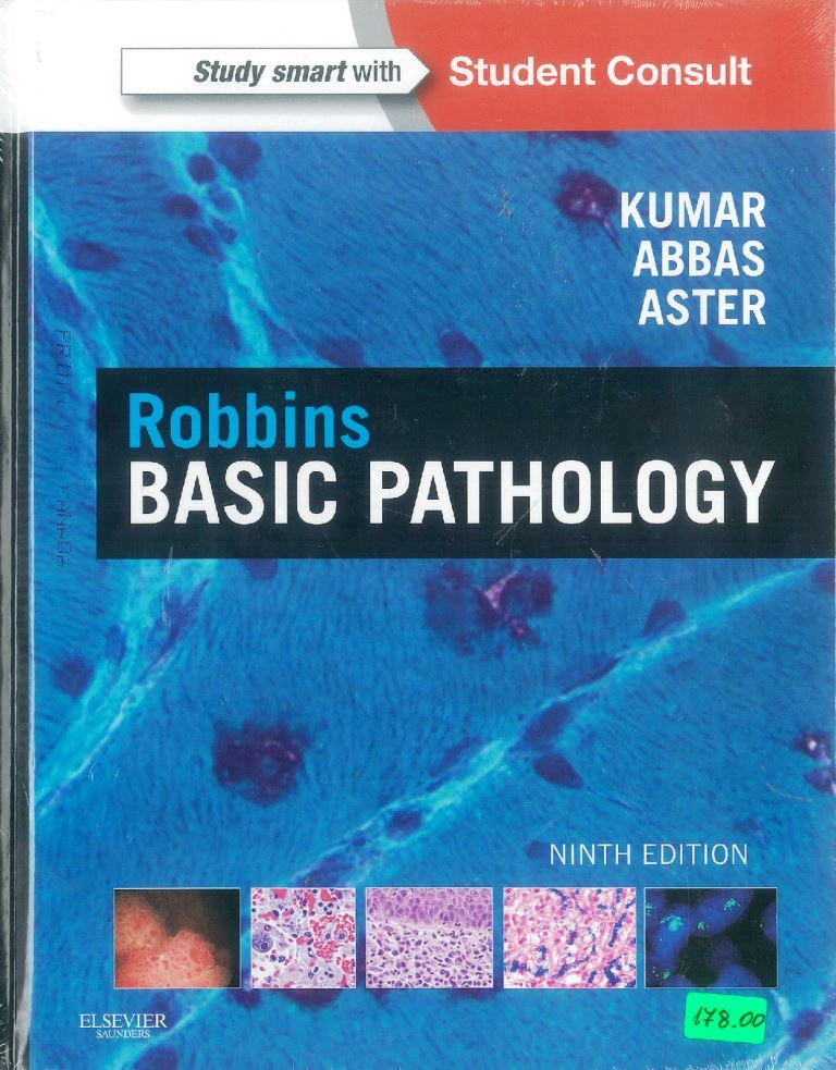 Robbins Basic Pathology 10E - booktopiacomau