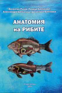 Анатомия на рибите
