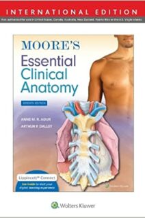 Moore's Essential Clinical Anatomy