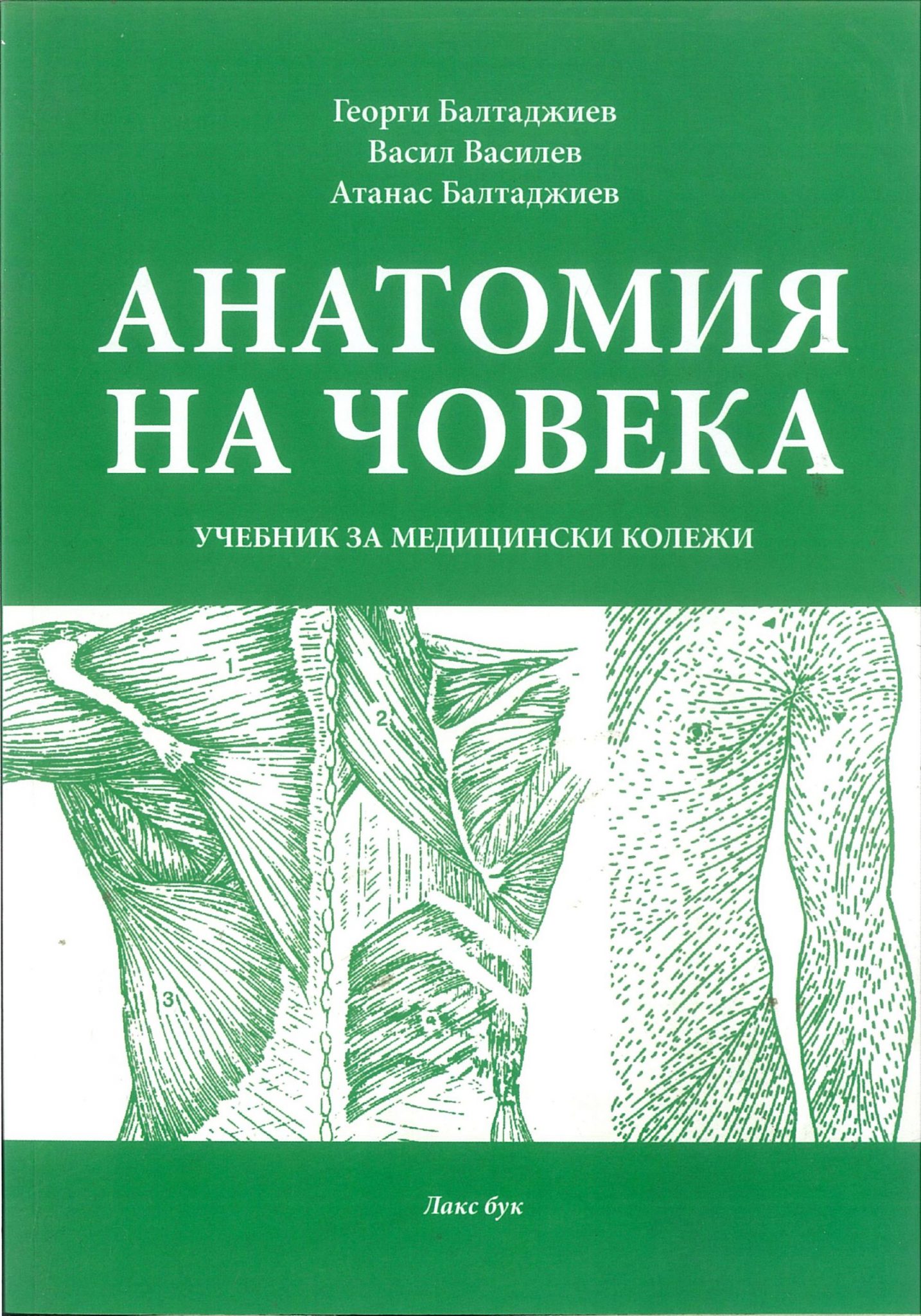 Анатомия пособие для вузов. Анатомия учебник для вузов. Учебник анатомии для медицинских вузов. Анатомия человека учебник для медицинских вузов. Книга про медицину анатомия.