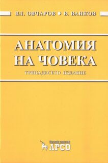Анатомия на човека