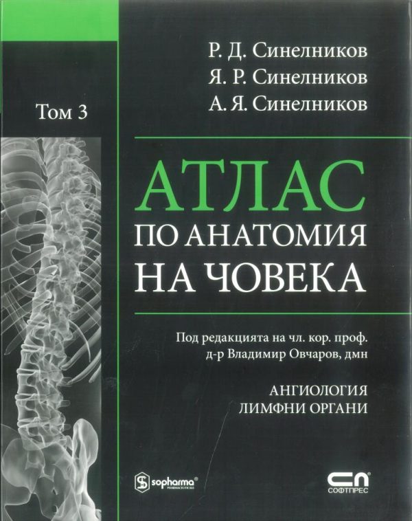 Проект по анатомии 10 класс