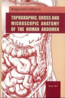 Topographic, Gross and Microscopic Anatomy of the Human Abdomen