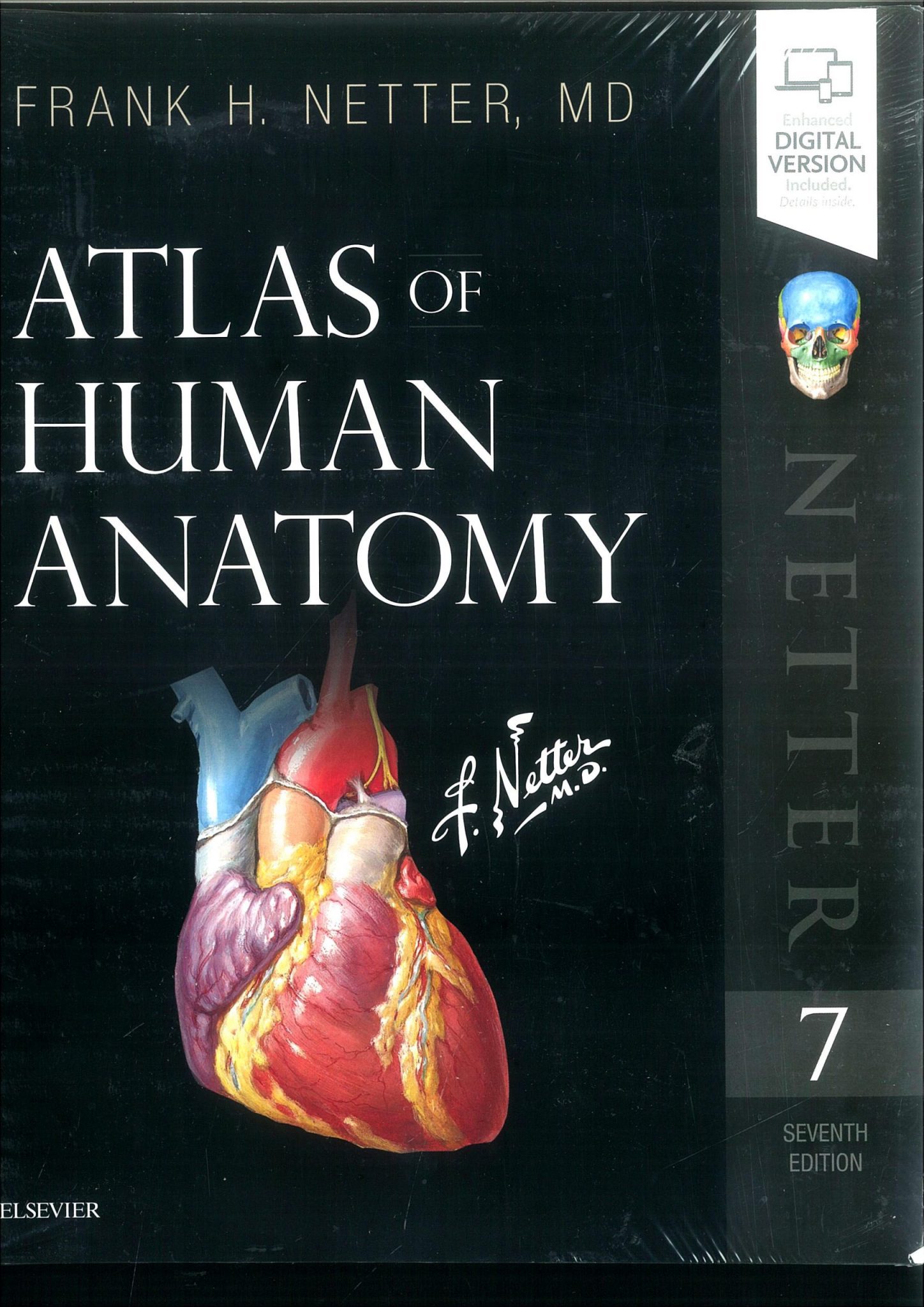 Атлас Фрэнка Неттера анатомия человека 8-е издание 2018 г. Москва. Атлас Неттера 7 издание. Неттер атлас анатомии. Фрэнк Неттер анатомия сердца.