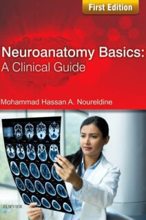 Neuroanatomy Basics: A Clinical Guide, 1st Edition