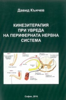 Кинезитерапия при увреда на периферната нервна система