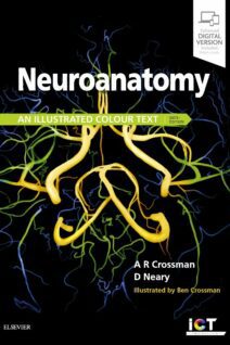 Neuroanatomy: an Illustrated Colour Text, 6th Edition