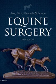 Equine Surgery