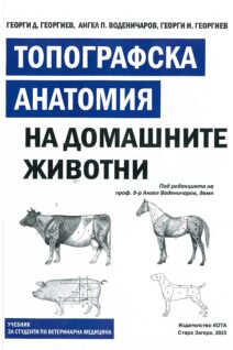 ТОПОГРАФСКА АНАТОМИЯ НА ДОМАШНИТЕ ЖИВОТНИ
