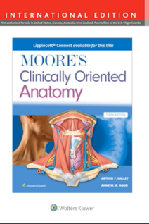 Moore's Clinically Oriented Anatomy