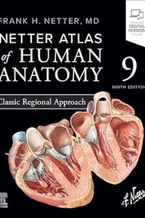 Netter Atlas of Human Anatomy Classic Regional Approach