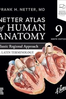 Netter Atlas of Human Anatomy Classic Regional Approach with Latin Terminology